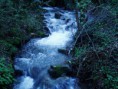 /album/galleria/bosco-cascatella-jpg/